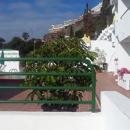 Monterrey * Puerto Rico (Gran Canaria)