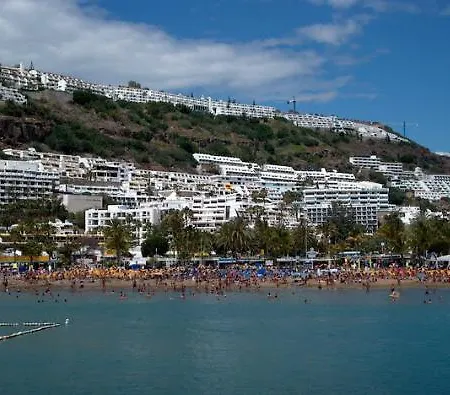Monterrey * Puerto Rico (Gran Canaria)
